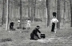  ??  ?? Photograph­ie de femmes participan­t à la récolte de la résine des pins maritimes dans les Landes, en 1907. À l’époque, la grande utilité de sa résine, notamment pour fabriquer torches et bougies puis, en la distillant, de l’essence de térébenthi­ne, a valu au pin maritime le surnom d’ « arbre d’or ».