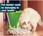  ??  ?? Pet dander could be damaging to your health