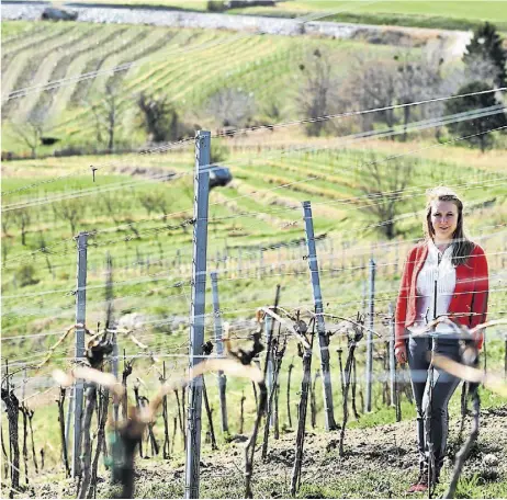  ?? Clemens Fabry ?? Jungwinzer­in Anna Seper vom Weingut Pferschy-Seper liebt das Arbeiten in und mit der Natur.