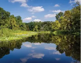  ?? (Special to The Commercial) ?? Bayou Bartholome­w is among the sites of interest in the community.