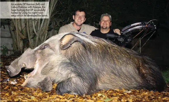  ??  ?? An ecstatic DP Bierman (left) and Cobus Pretorius with Knoppe, the huge bushpig that DP successful­ly hunted by using his night vision setup which he developed for bows.