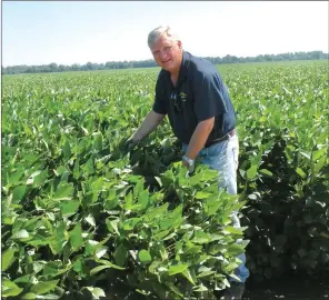  ?? CAROL ROLF/CONTRIBUTI­NG PHOTOGRAPH­ER ?? Perry Galloway checks a field of soybeans on his farm in Gregory. He raises about 5,000 acres of soybeans, in addition to corn, wheat and rice. Galloway has been honored as the 2017 Woodruff County Farm Family of the Year. His family includes his...