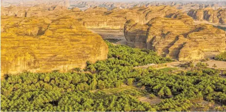  ?? FOTOS: YANN ARTHUS-BERTRAND/DPA ?? Die Oase von Al-Ula reicht vom Roten Meer bis zur Grenze Jordaniens.