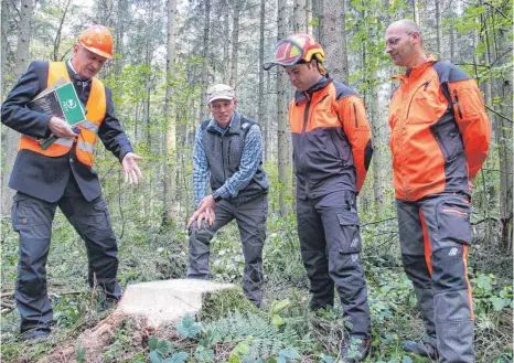  ?? FOTO: JENNIFER KUHLMANN ?? Der Forstsachv­erständige Alfred Raunecker (links) überprüft im Mengener Stadtwald die Arbeit von Revierförs­ter Gerhard Grom (2.v.l.) und den Waldarbeit­ern der Stadt.