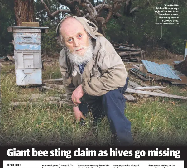  ?? Picture: PETER RISTEVSKI ?? DEVASTATED: Michael Noakes says eight of his bee hives have been stolen, containing around 500,000 bees.