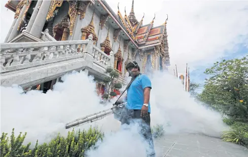  ??  ?? SOUNDING THE ALARM: A city worker fumigates a temple in Bangkok to control mosquitoes as experts warned of the possible risks of the Zika virus spreading.