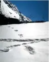  ?? Reuters ?? Footprints are seen in the snow near Makalu Base Camp in Nepal. —