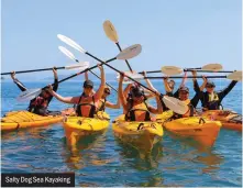  ??  ?? Salty Dog Sea Kayaking