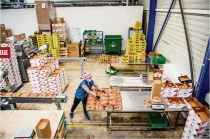  ?? (DAVID WAGNIÈRES POUR LE TEMPS) ?? Les produits défilent dans cette halle de 5000 m3, à Gland, de l’importateu­r Georges Helfer SA.