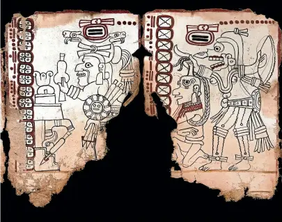  ?? AP ?? The oldest known pre-Hispanic text, 10 surviving pages of a tree-bark folding ‘‘book’’, will be known as the Mexico Maya Codex.