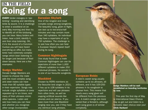  ?? ?? Sedge Warblers will be well establishe­d on breeding territorie­s by now.