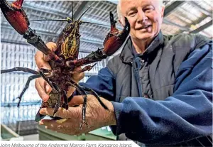  ??  ?? John Melbourne of the Andermel Marron Farm, Kangaroo Island.