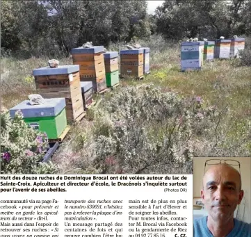  ?? (Photos DR) ?? Huit des douze ruches de Dominique Brocal ont été volées autour du lac de Sainte-croix. Apiculteur et directeur d’école, le Dracénois s’inquiète surtout pour l’avenir de ses abeilles.