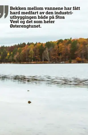  ?? FOTO: ELISABETH GROSVOLD ?? vannstande­n i Sørsvann er blitt permanent forhøyet med 50–80 centimeter. De