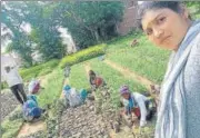  ?? SOURCED ?? Selfie of forest guard Shweta Rani at her place of work in Aligarh.