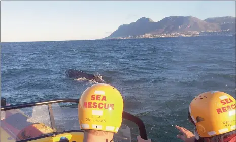  ?? Picture: NSRI ?? ‘DESPERATE’: Rescuers anxiously fought to free the whale after it became anchored to the sea bed by Whelk trap lines on Saturday.