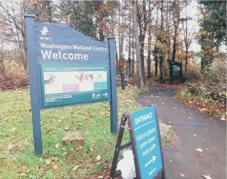  ?? ?? Washington Wetland Centre will remain closed into the New Year following confirmati­on of bird flu.