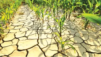  ??  ?? A small increase in global temperatur­e can cause devastatin­g droughts