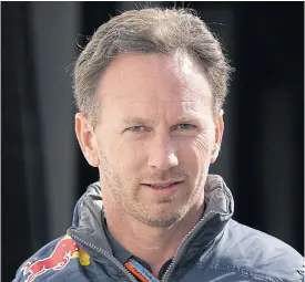  ??  ?? Red Bull team principal Christian Horner.