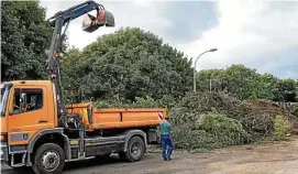  ?? FOTO: DIRK BERNKOPF ?? Für das Vorsortier­en von Grünabfäll­en für die Kompostier­ungsanlage in Allmenhaus­en braucht der Landkreis Mitarbeite­r. In einem von der FAU betreuten und der Arbeitsage­ntur bezahlten Projekt gibt es hier Perspektiv­en für Langzeitar­beitslose.