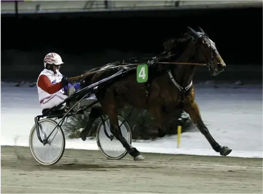  ?? ALLE FOTO: MORTEN SKIFJELD ?? IMPONERTE: The Voice ledet nesten hele veien da han vant V65-4 for Thor Borg. Flere seirer venter den kapable femårige sønnen til Thai Tanic som eies av Team Øverdal.