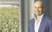 ?? CANOPY GROWTH. ?? CEO David Klein has trimmed the workforce and launched a host of new products at Canopy Growth.