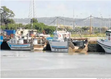  ?? ANDRÉS MORA PERLES ?? El sector pesquero de El Puerto de Santa María mantiene su actividad extractiva.