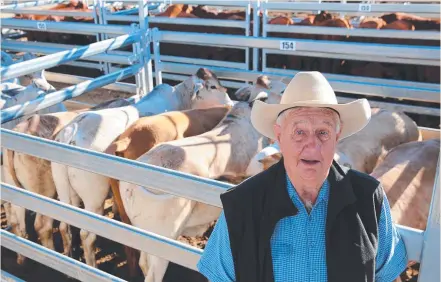  ??  ?? AT THE YARDS: Neville McEvoy, from Bundaberg, with a pen of his brahman two-tooth feeder steers. The steers sold for 268.2c/kg or $1304/head.