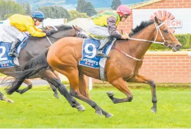  ?? / Wild Range Photograph­y ?? The Precious One will contest the Speight’s 1220 at Cromwell tomorrow.Photo