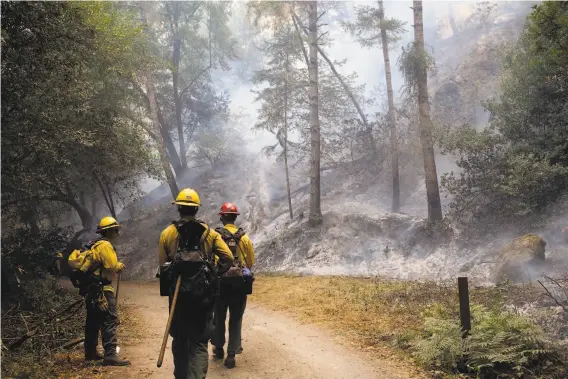  ?? Photos by Jessica Christian / The Chronicle ?? Firefighte­rs monitor trees and flames as the Woodward Fire burns the underbrush along Bear Valley Trail at Point Reyes Station, similar to forest management.