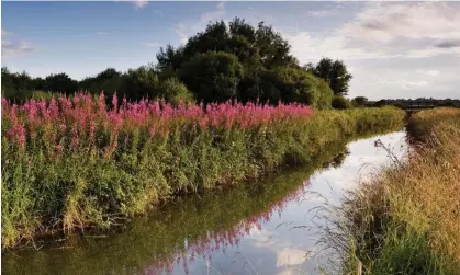  ?? Photograph: Richard Burdon/ Alamy ?? The judge said sewage discharges for specific rivers such as the Costa Beck need to be regulated more tightly.