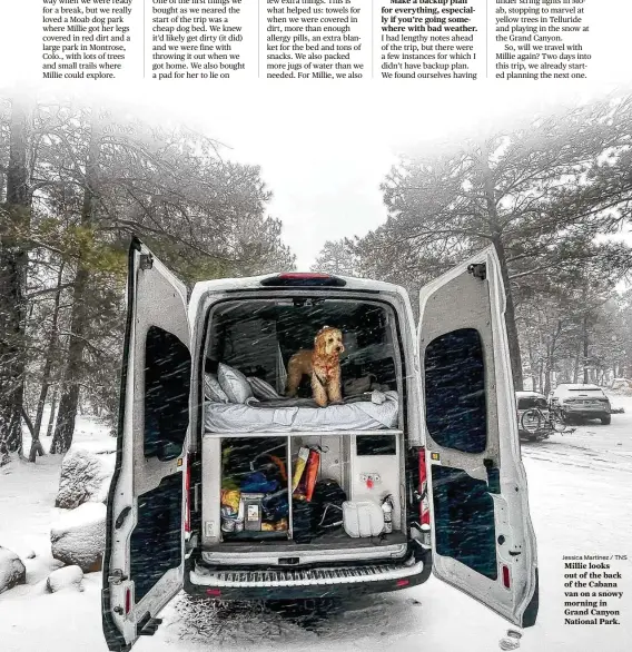  ?? ?? Jessica Martinez / TNS
Millie looks out of the back of the Cabana van on a snowy morning in Grand Canyon National Park.