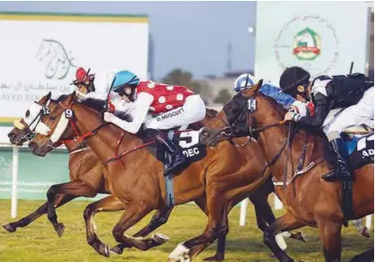  ??  ?? Al Ain will host a seven-race card in its third meet of the season on Friday.