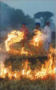  ??  ?? Farmers burn rice straw after harvesting the paddy crops in a field on the outskirts of Amritsar yesterday.