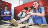  ?? ZHANG JINGANG / FOR CHINA DAILY ?? Internatio­nal students weigh herbs to fill prescripti­ons at a traditiona­l Chinese medicine hospital in Qingdao, Shandong province, on Wednesday. A TCM experience center for foreign students has been establishe­d at the hospital by Shandong University of...