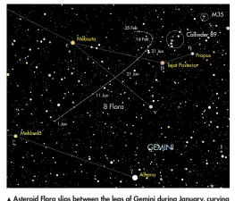  ??  ?? Asteroid Flora slips between the legs of Gemini during January, curving away in early February as it nears open clusters Collinder 89 and M35