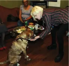  ?? RICK DIAMOND/GETTY IMAGES ?? Singer Cyndi Lauper invited people who oppose the Montreal ban on pit bulls to sign an online petition.