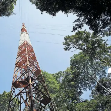  ?? [ Reuters/Bruno Kelly ] ?? 325 Meter hoch ist der Atto-Turm im Regenwald, eine Forschungs­station nördlich von Manaus.