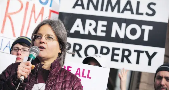  ?? AARON LYNETT / THE CANADIAN PRESS ?? Anita Krajnc, who was charged with mischief after giving water to pigs on their way to slaughter, says she “feels guilty” about not doing more.