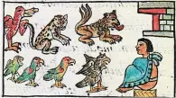  ??  ?? Muestras. Una ilustració­n del vivario de Tenochtitl­án en el Códice Florentino, del Siglo 16.