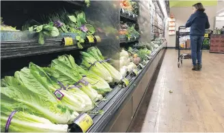  ??  ?? The latest outbreak of E. coli linked to romaine lettuce underscore­s the challenge of eliminatin­g risk for vegetables grown in open fields and eaten raw, and highlights the role of nearby cattle operations.