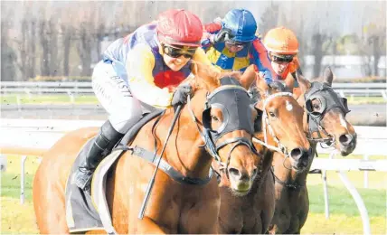  ?? Photo / Race Images ?? Atenartin and Danielle Hirini are a study in determinat­ion at Awapuni yesterday.