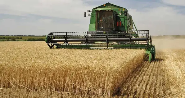  ?? ?? Garantir l’autosuffis­ance du pays en céréales