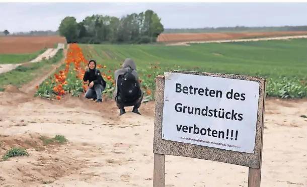  ?? FOTO: D. STANIEK ?? Die Hinweissch­ilder werden von vielen Besuchern ignoriert. Für sie zählen die schönen Blumen-Fotos.