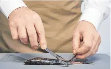  ?? FOTO: MESSE FRANKFURT EXHIBITION GMBH ?? Ähnlich wie man die Schale von einer Gurke abzieht, wird mit dem Küchenhelf­er namens Filetto von Triangle das Fischfilet von den Gräten gelöst.