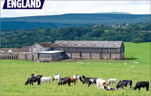  ??  ?? SHAPE OF THINGS TO COME:
A windswept abandoned farm, left, in the US midwest. Farmers fear the green pastures seen in England, right, could go the same way if a trade deal encourages US-style farming here