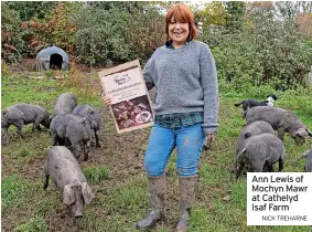  ?? NICK TREHARNE ?? Ann Lewis of Mochyn Mawr at Cathelyd Isaf Farm