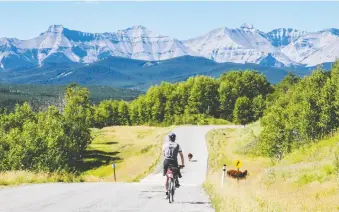  ?? LEIGH MCADAM ?? The Sheep River Valley offers an ideal spot for cycling, recommends Leigh Mcadam, a Calgary adventurer and blogger.