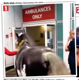  ??  ?? You won’t see this on Holby City: Moses arrives Going G up: The pony is guided into a hospital lift