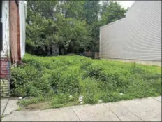  ??  ?? Trenton residents could grow fresh vegetables and flowers in this vacant East State St. lot “If I Were Mayor.”